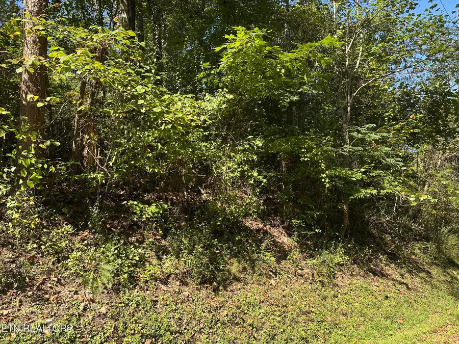 lot 12 Hickory Hill Drive, La Follette, TN 37766 - #2