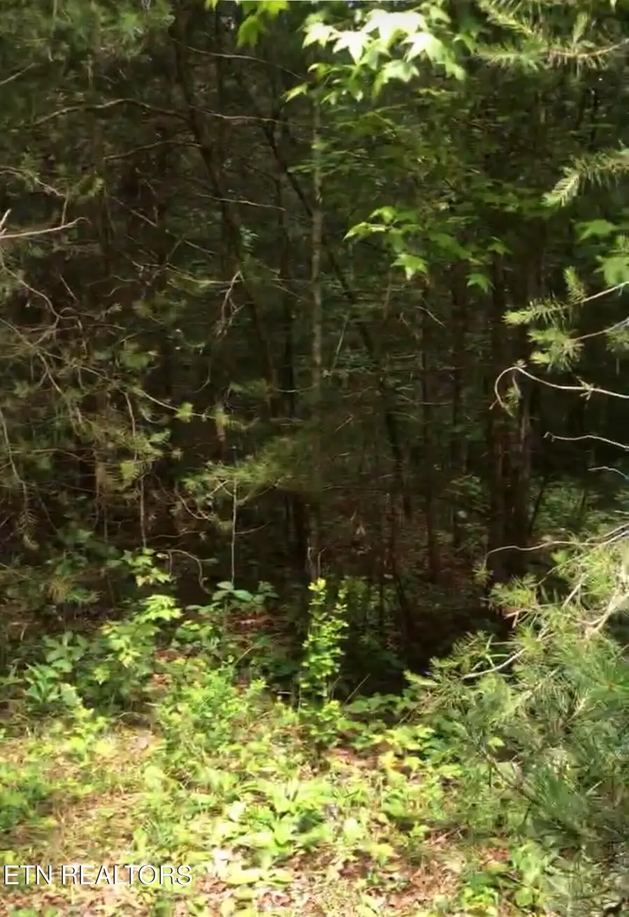 14 Clear Fork Drive, Jamestown, TN 38556 - #2