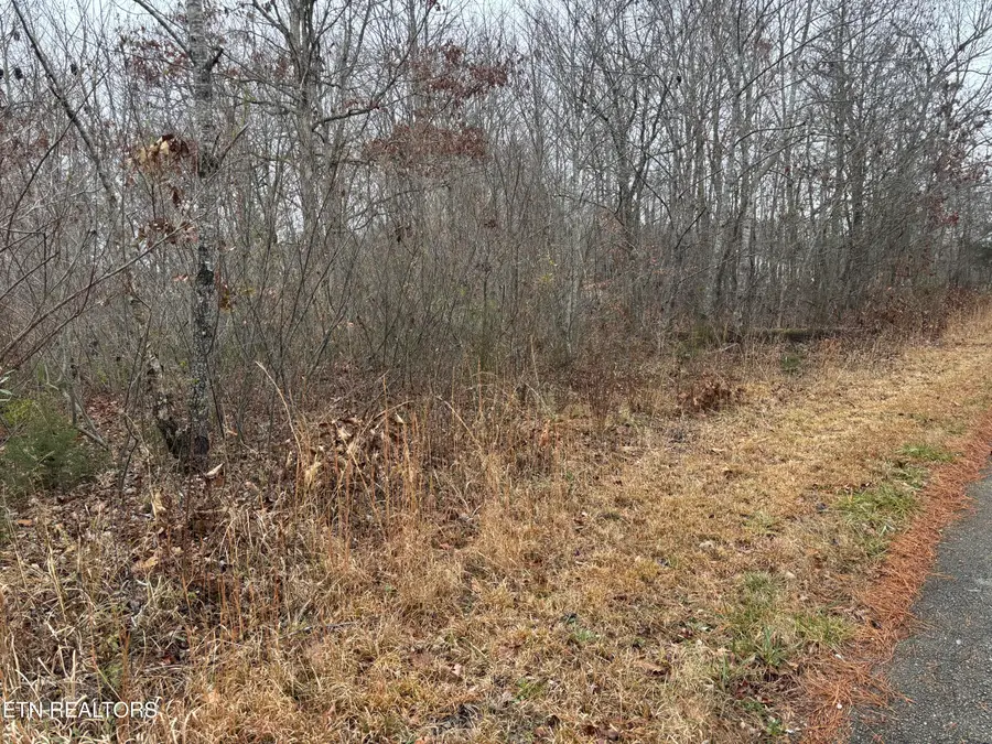 Everett Lane, Robbins, TN 37852 - #3