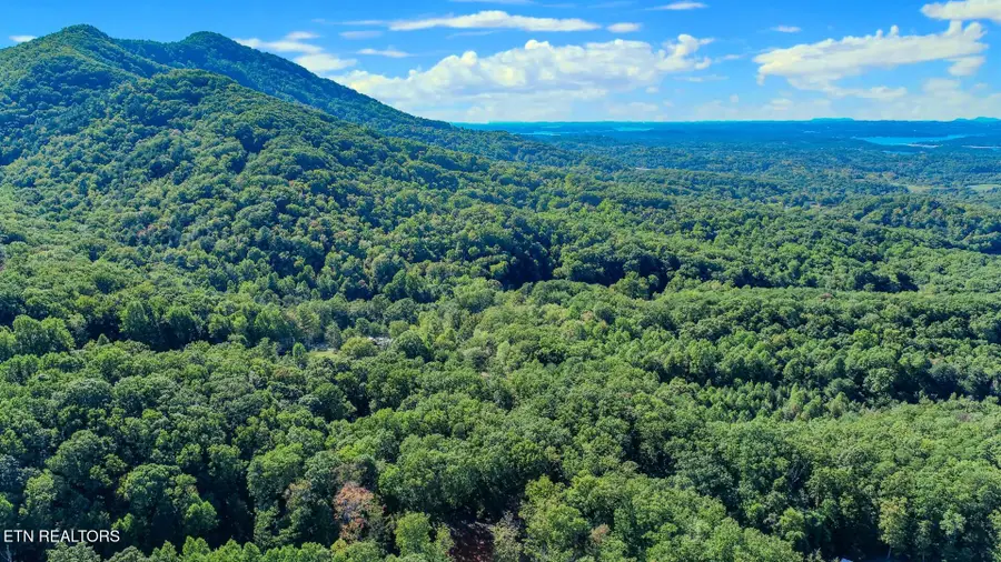 113 Huffman Way, Newport, TN 37821 - #2
