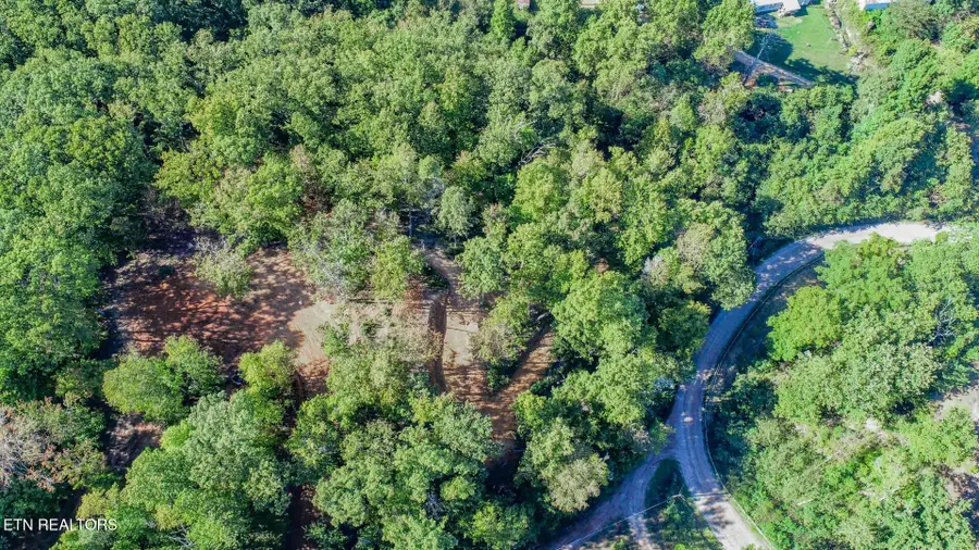 113 Huffman Way, Newport, TN 37821 - #3