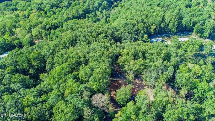 133 Huffman Way, Newport, TN 37821 - #2