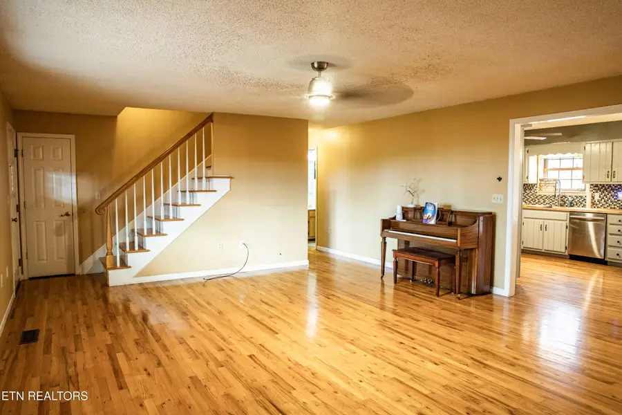 306 Mountain Rd, New Tazewell, TN 37825 - #3