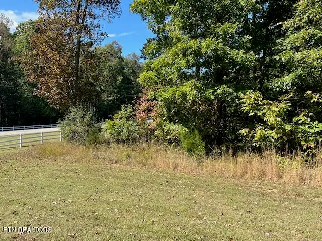 Appaloosa Trail, Rockwood, TN 37854 - #1