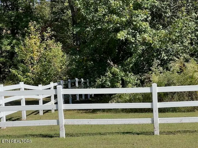 Appaloosa Trail, Rockwood, TN 37854 - #2