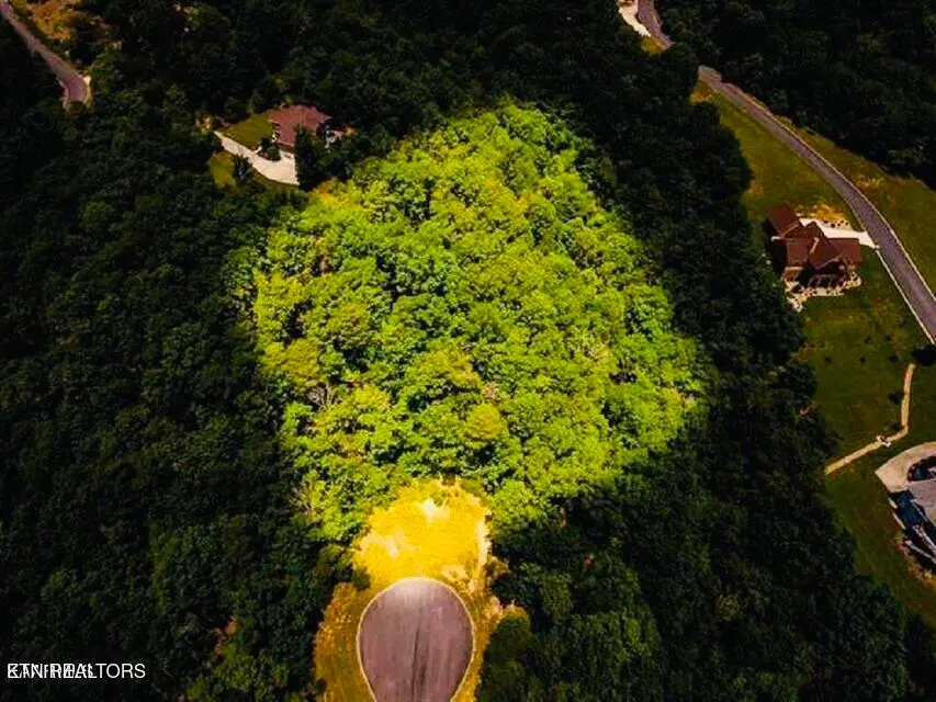 8028 Mountain Ridge Drive, Mooresburg, TN 37811 - #2