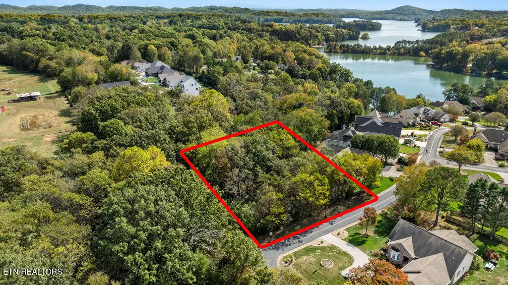 229 Amohi Way, Loudon, TN 37774 - #1