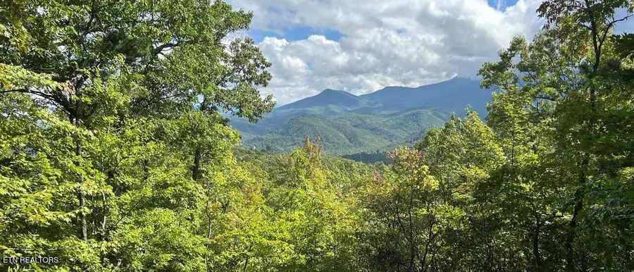 Oakley Heights Rd, Gatlinburg, TN 37738 - #3