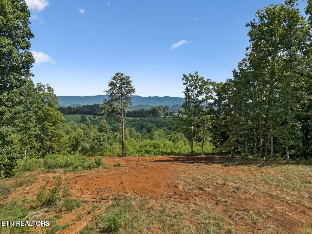 126 Campbell Way, Maryville, TN 37801 - #1