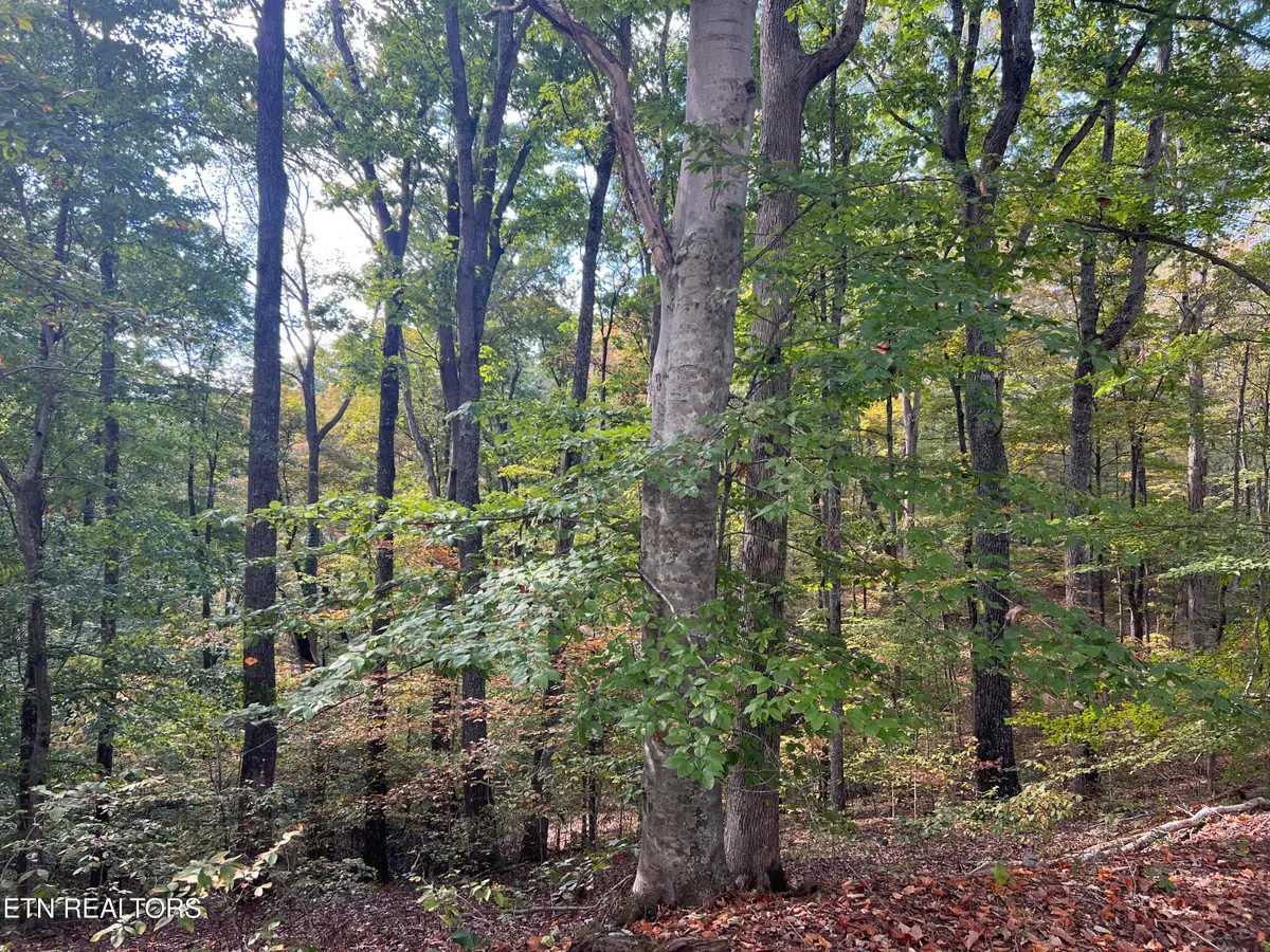 0 Brady Rd, Newport, TN 37821 - #1