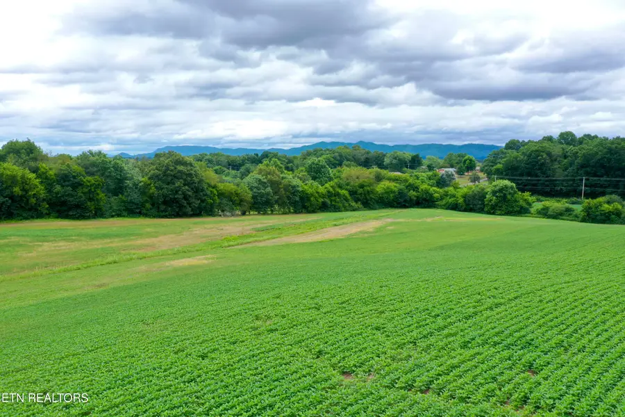 141 Saratoga Drive, Maryville, TN 37804 - #3