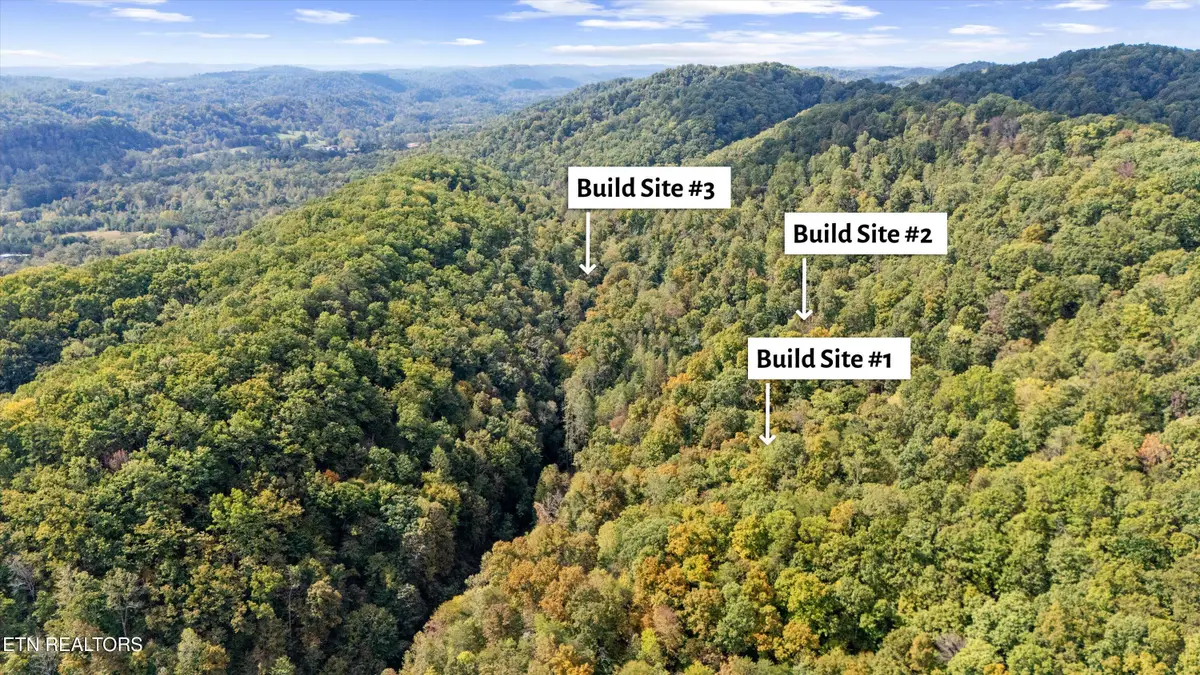 560 Prospect Rd, Luttrell, TN 37779 - #1