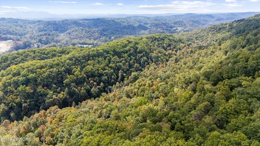 560 Prospect Rd, Luttrell, TN 37779 - #2