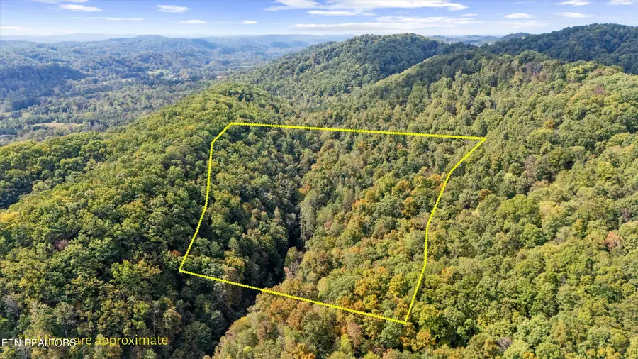 560 Prospect Rd, Luttrell, TN 37779 - #3