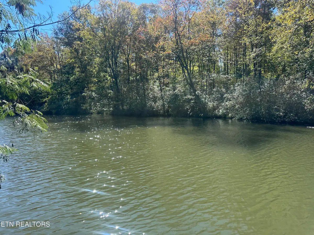 203 Blue Heron Dr. Drive, Harriman, TN 37748 - #1