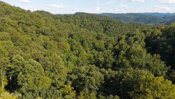 32.38  AC Off Panther Creek Rd, Sneedville, TN 37869