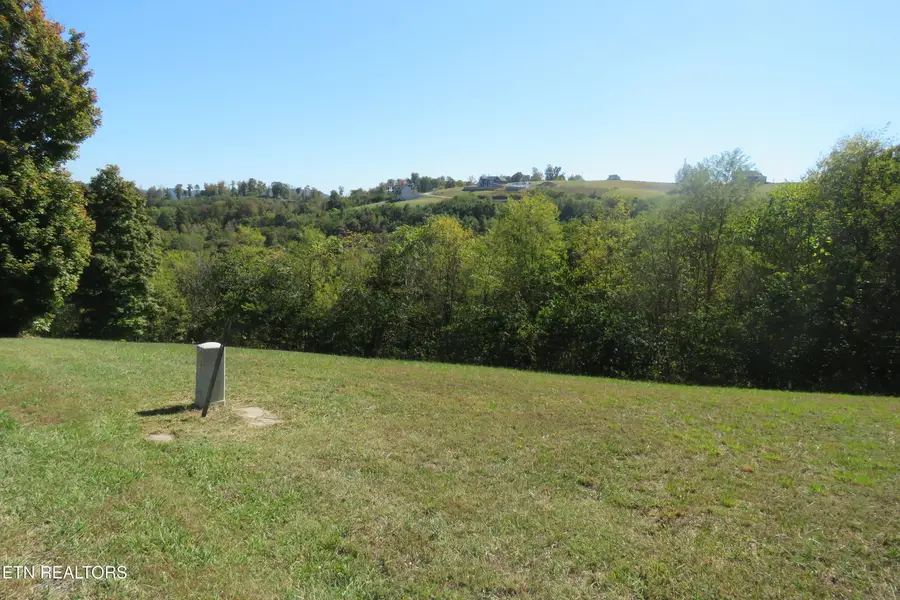 0 Goose Road, Hilham, TN 38568 - #3
