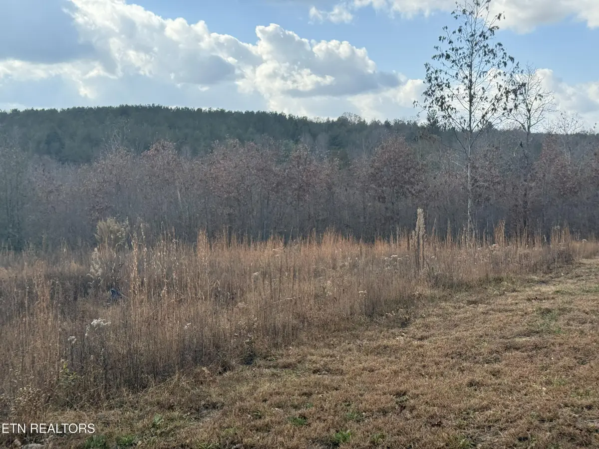 6.25 Acres Valerie Drive, Deer Lodge, TN 37726 - #1