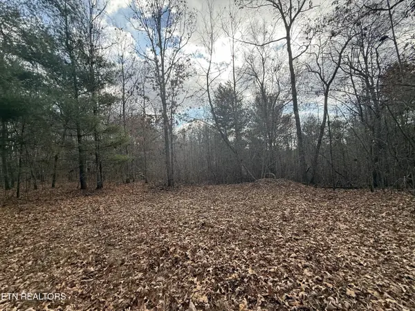 Valerie Drive 10.77 Acres Drive, Deer Lodge, TN 37726