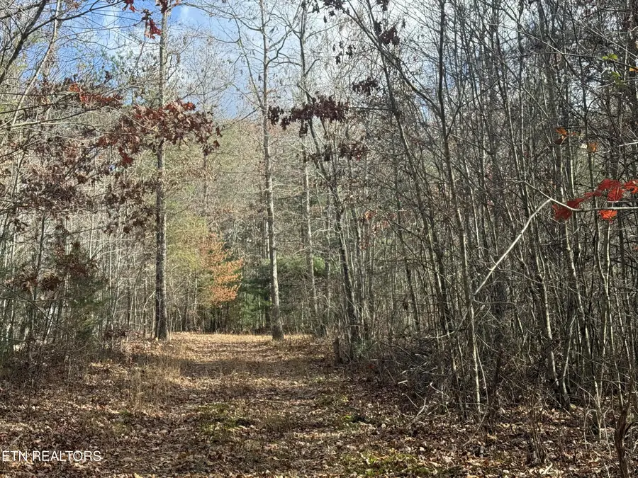 Valerie Drive 10.77 Acres Drive, Deer Lodge, TN 37726 - #3