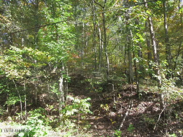 Long Acres, Blaine, TN 37709 - #2