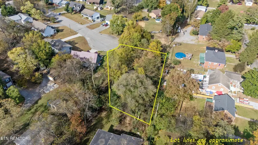 203 Allen Court, Maryville, TN 37804 - #2