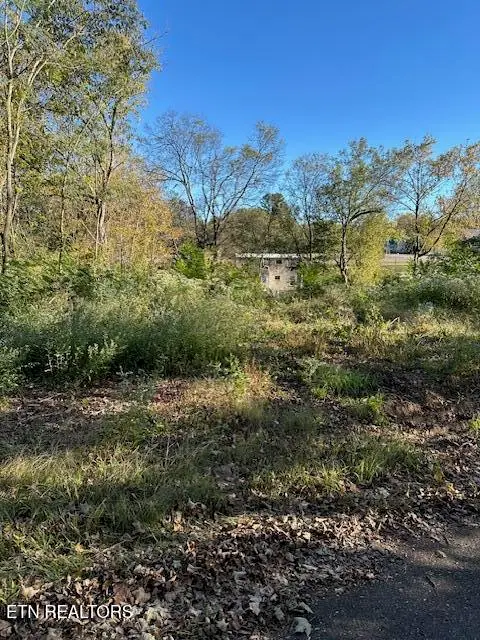 Lot 21 Mayfield Ave, Knoxville, TN 37920 - #3