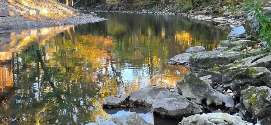 8229 E Lamar Alexander Pkwy, Townsend, TN 37882 - #2