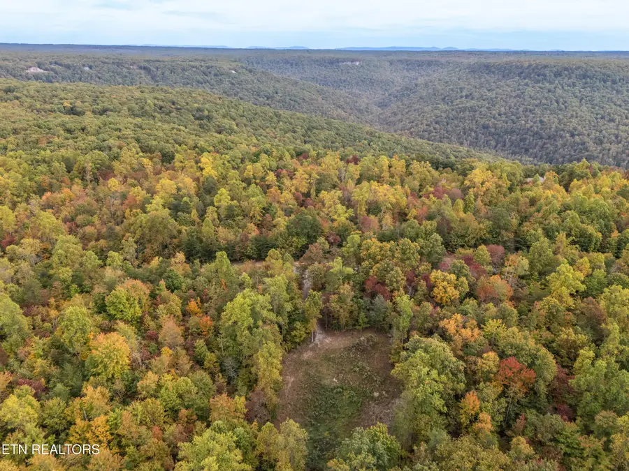 592 Cumberland Cove Rd, Monterey, TN 38574 - #2