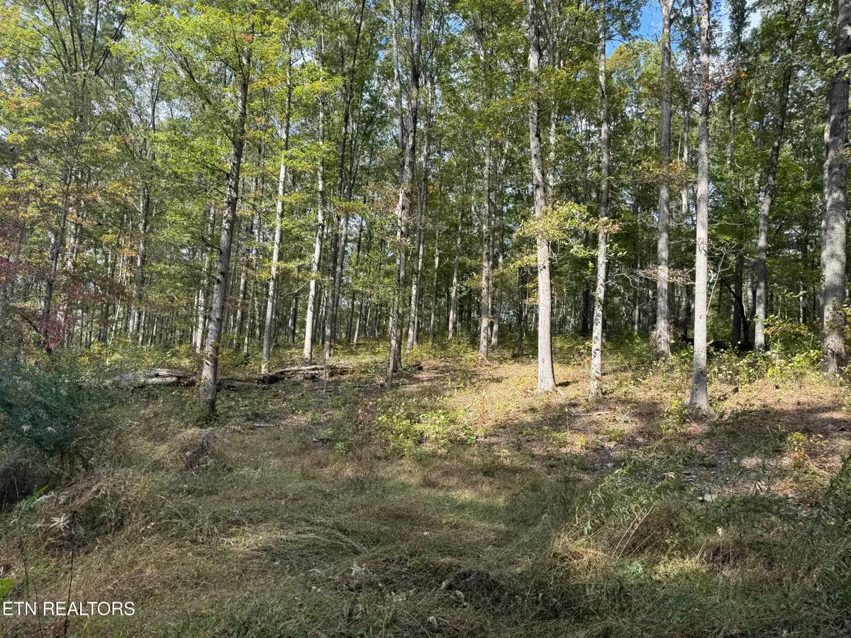 Allardt Hwy Hwy, Jamestown, TN 38556 - #1