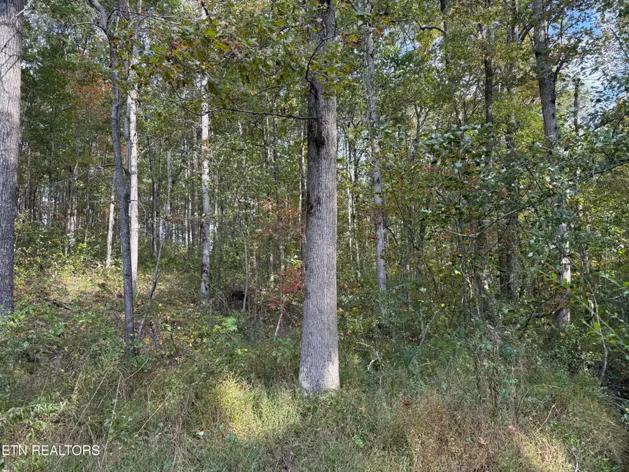 Allardt Hwy Hwy, Jamestown, TN 38556 - #3