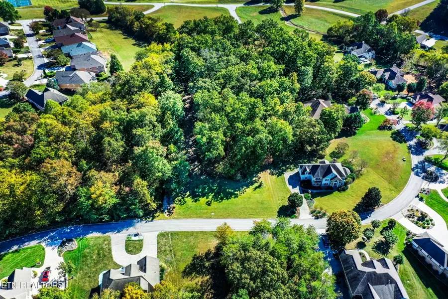 616 Sandpiper Drive, Vonore, TN 37885 - #2