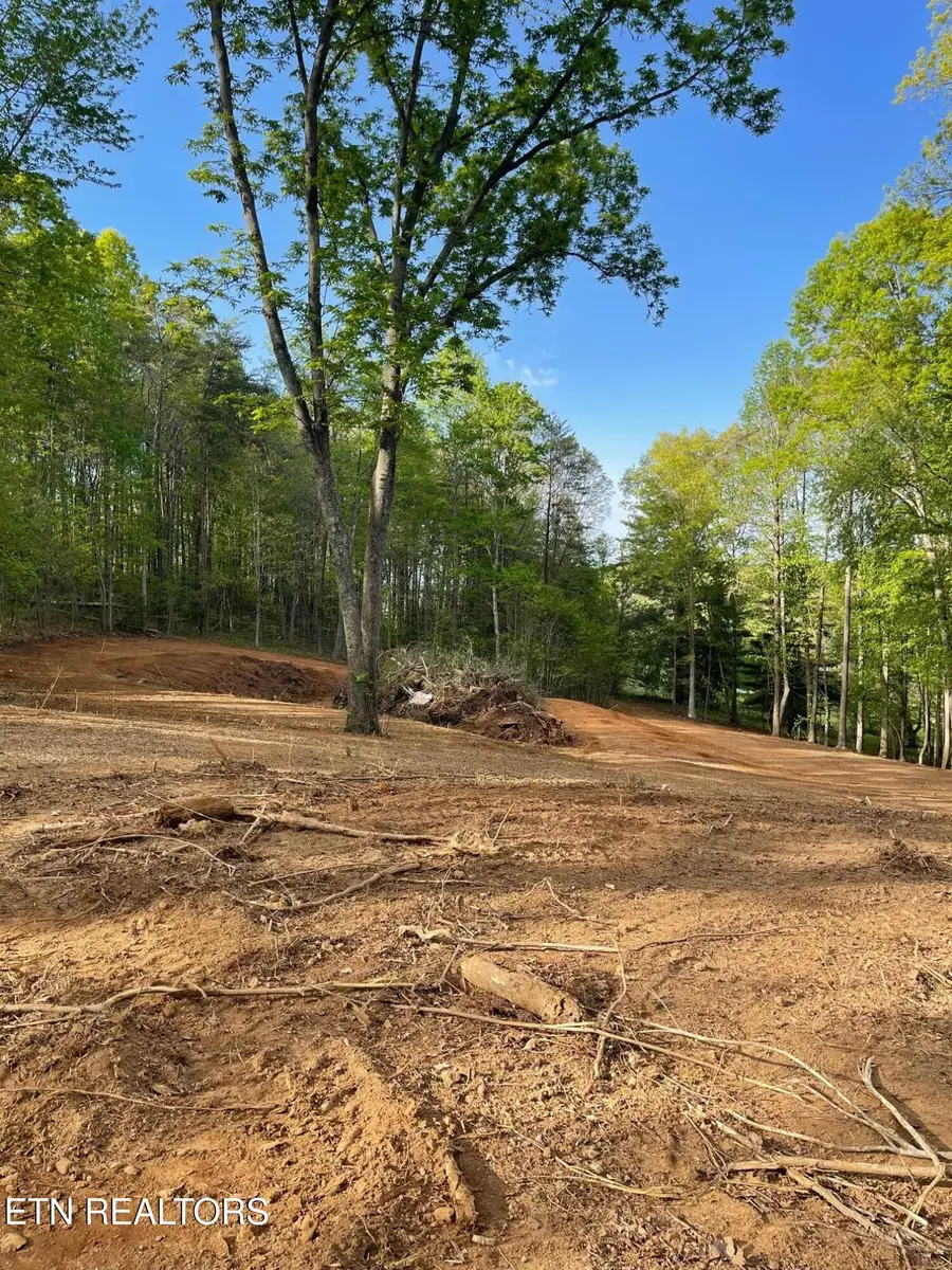 236 Branham Lane, Ten Mile, TN 37880 - #3