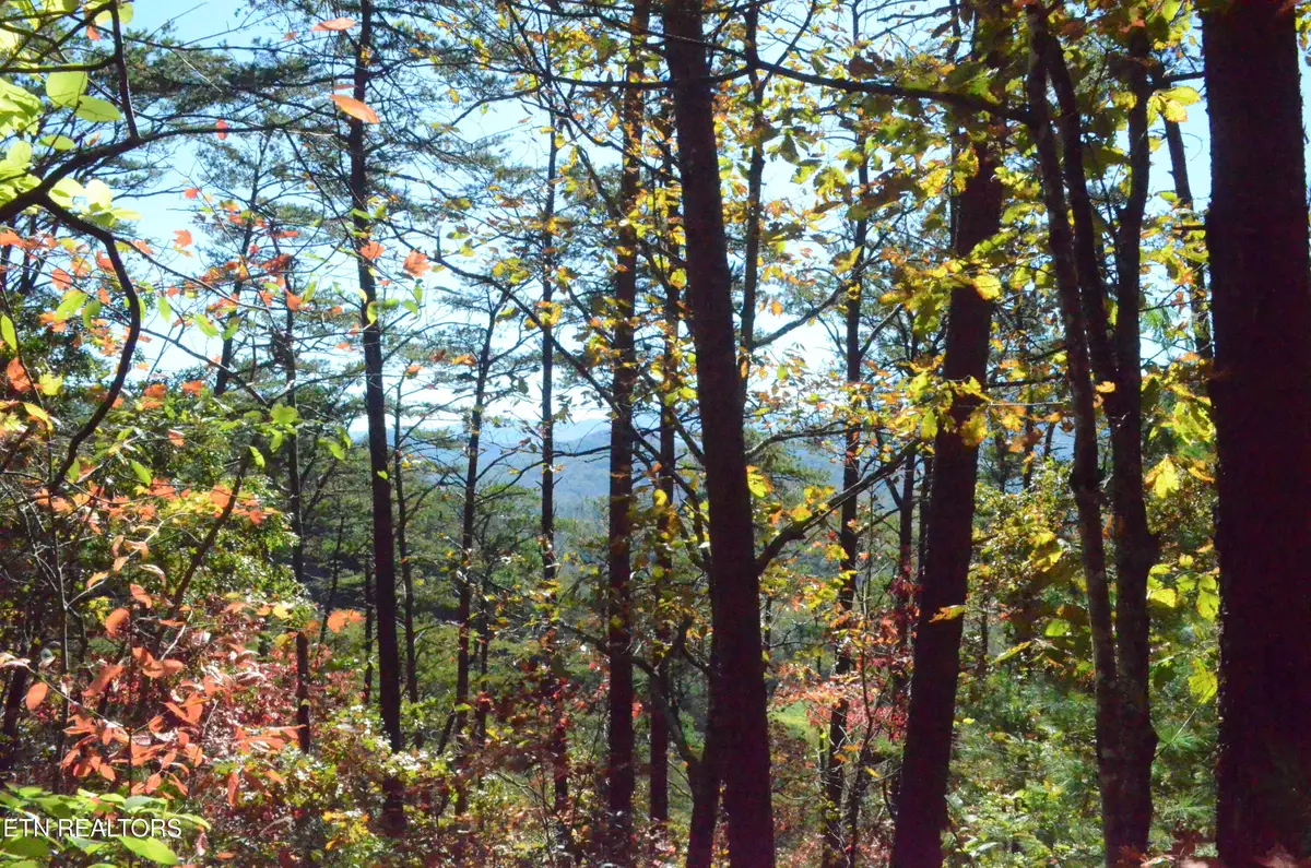 Lot 28R Mountain Retreat Rd, Townsend, TN 37882 - #1