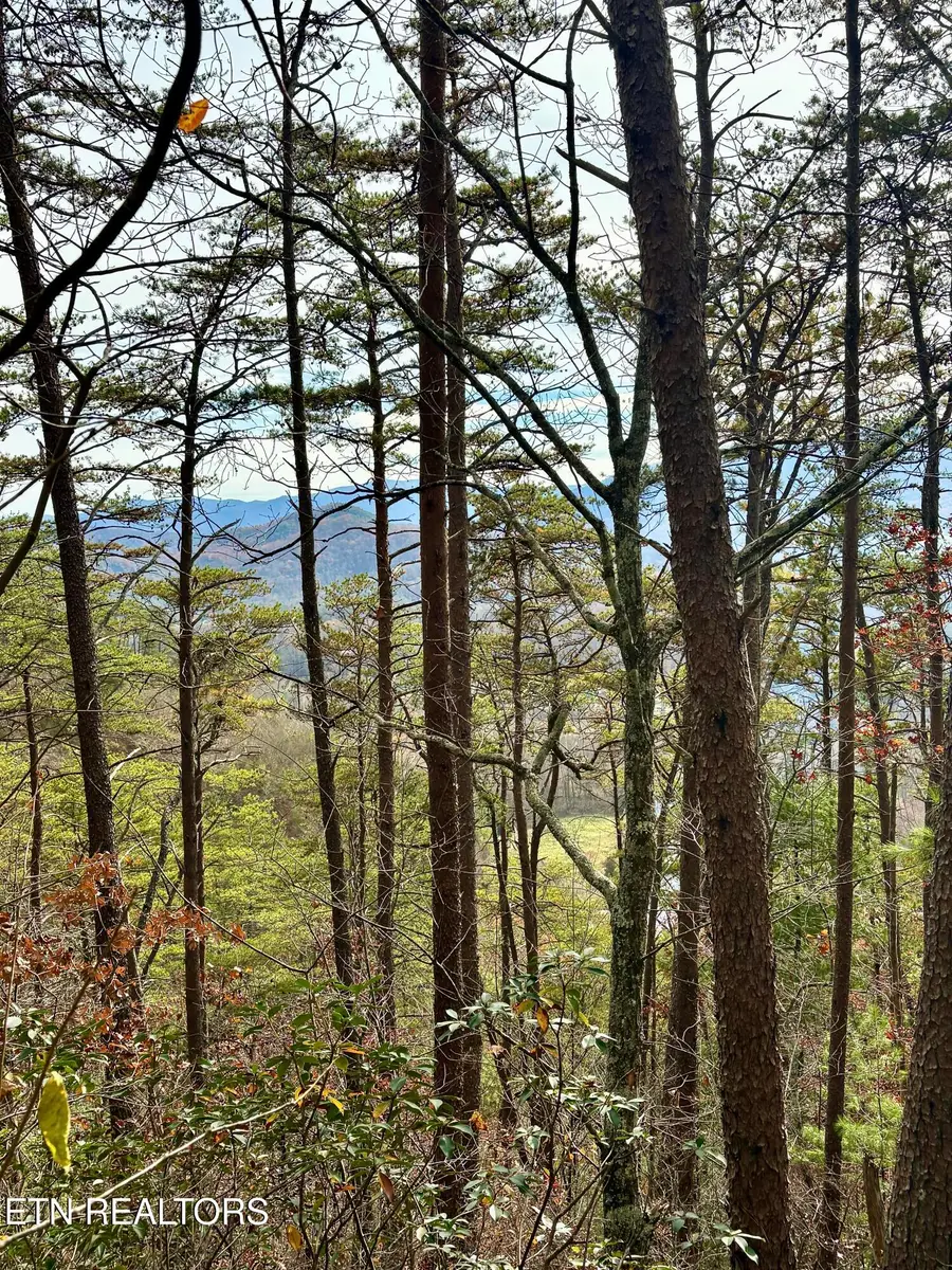 Lot 28R Mountain Retreat Rd, Townsend, TN 37882 - #2