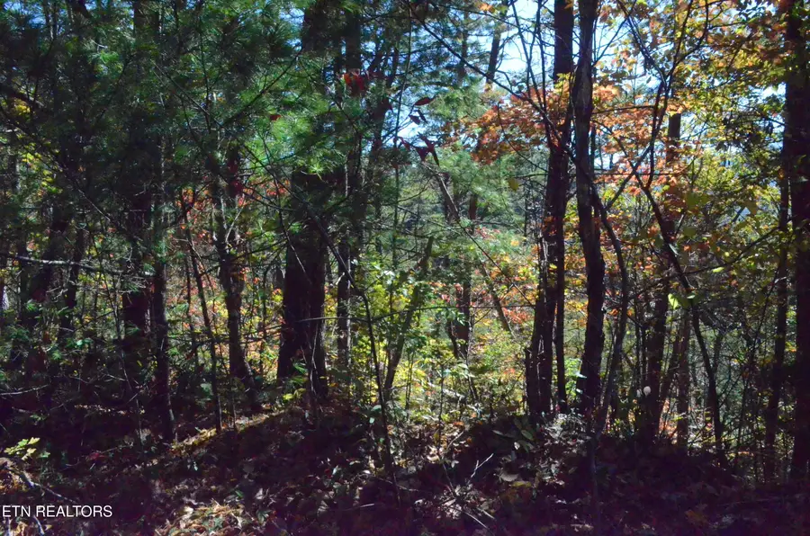 Lot 28R Mountain Retreat Rd, Townsend, TN 37882 - #3
