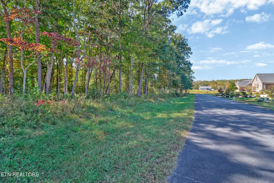 Houston Drive, Crossville, TN 38555 - #2