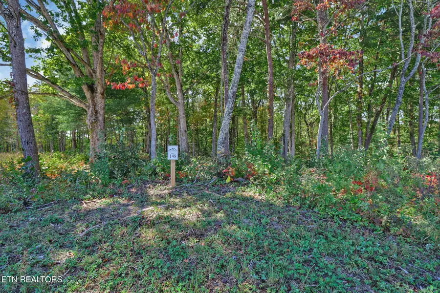 Houston Drive, Crossville, TN 38555 - #3