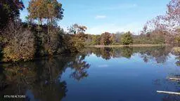 2036 Helenwood Detour Rd, Helenwood, TN 37755 - #2