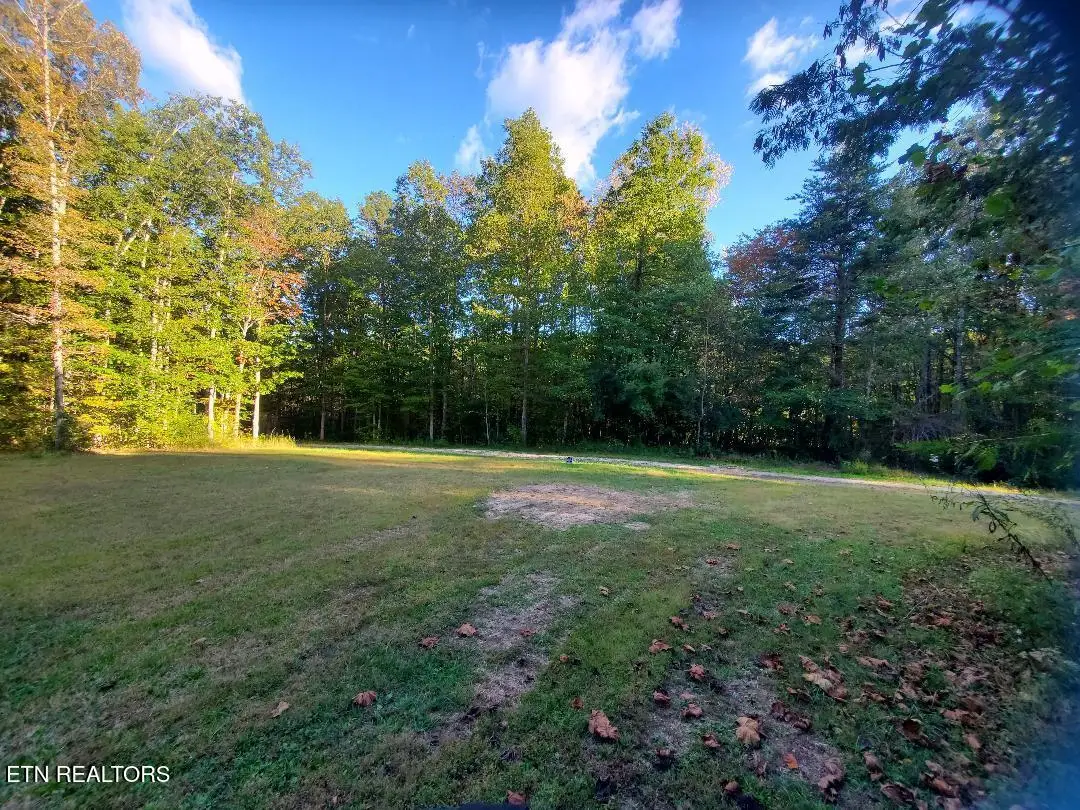2036 Helenwood Detour Rd, Helenwood, TN 37755 - #1