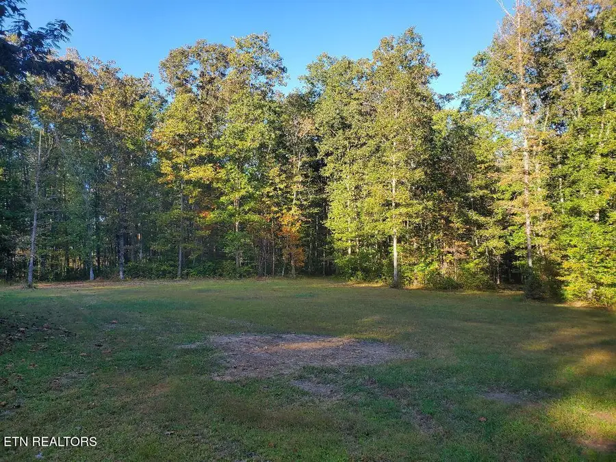 2036 Helenwood Detour Rd, Helenwood, TN 37755 - #2