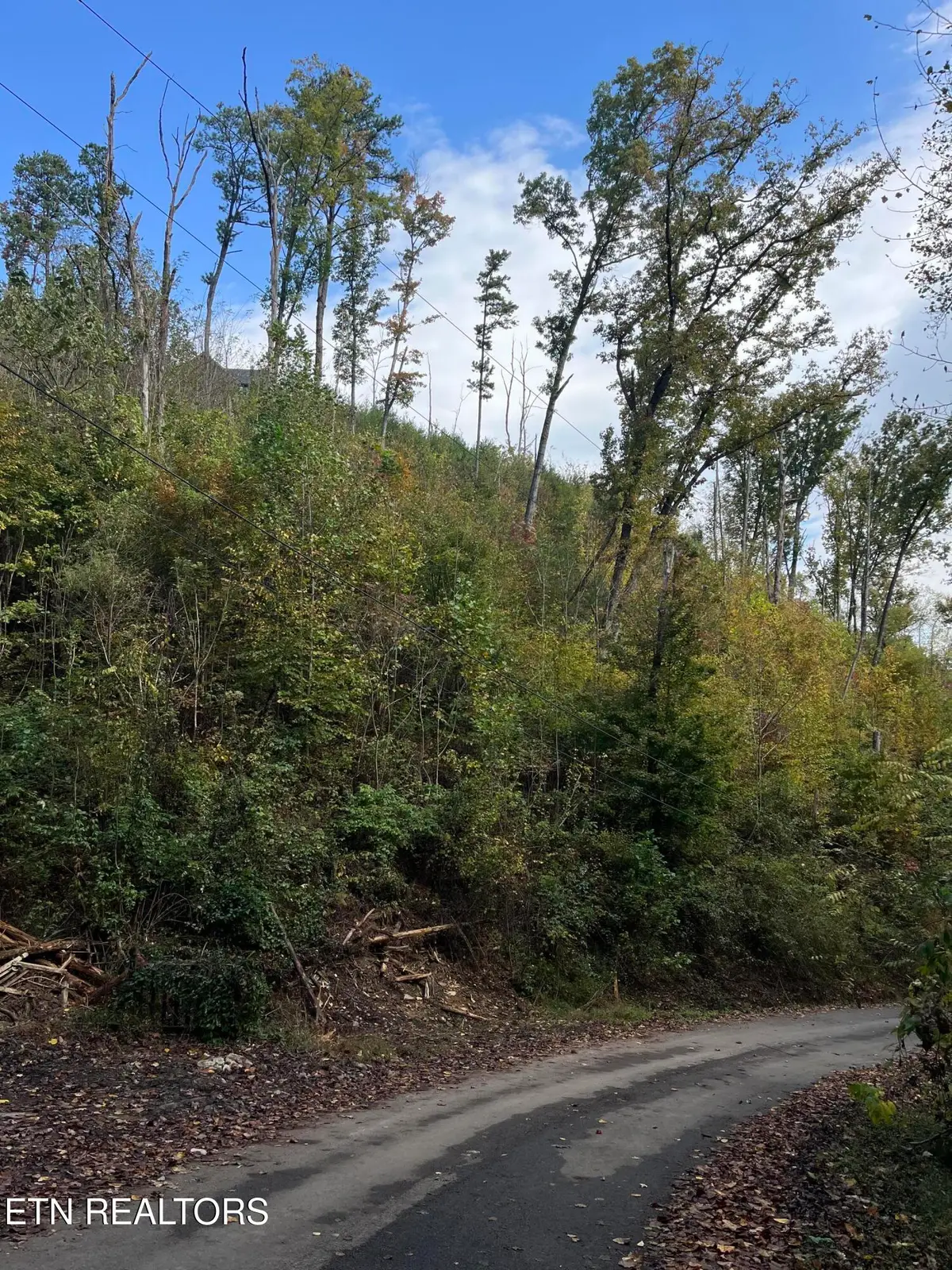 Lot 529 Deep Hollow Rd, Gatlinburg, TN 37738 - #1