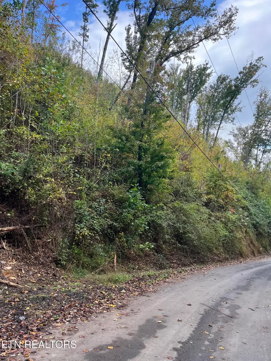 Lot 529 Deep Hollow Rd, Gatlinburg, TN 37738 - #2
