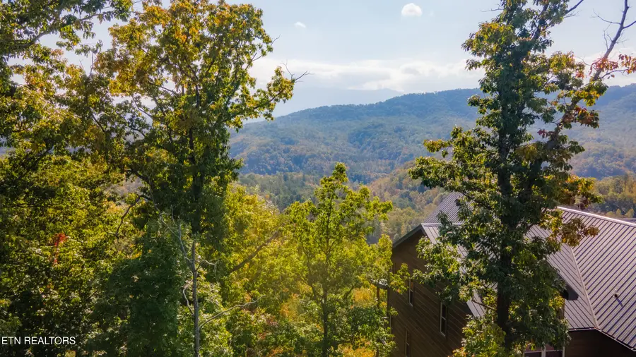 4121 Sherwood Heights Way, Pigeon Forge, TN 37863 - #3