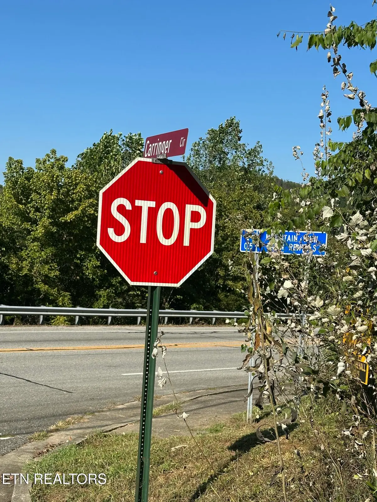 Carringer Circle, Tellico Plains, TN 37385 - #1