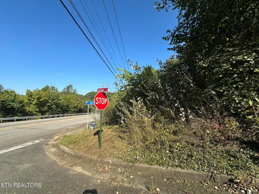 Carringer Circle, Tellico Plains, TN 37385 - #3