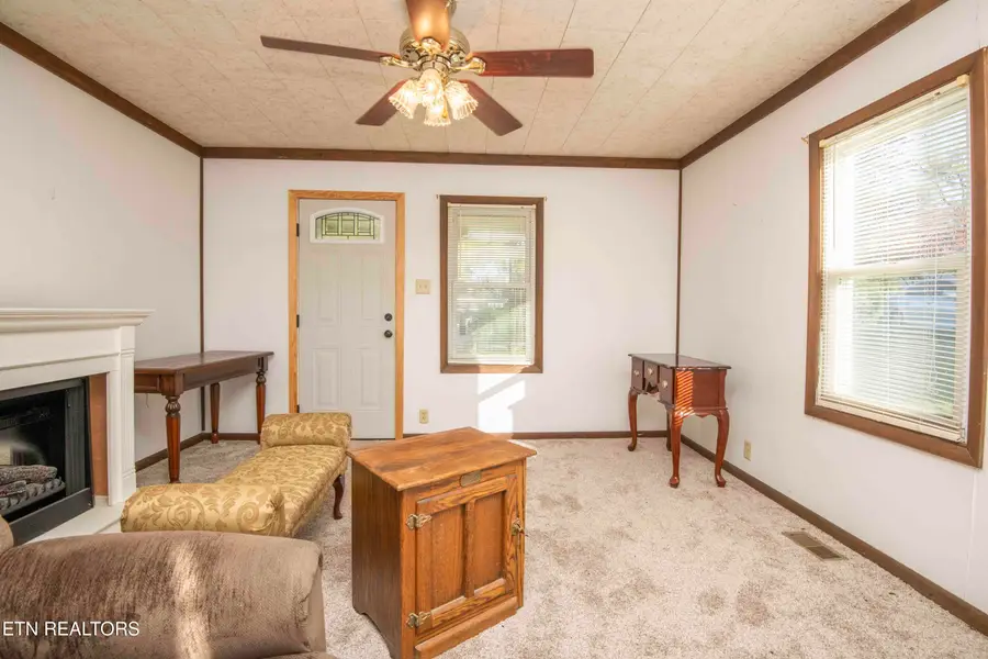 9316 Tipple Lane, Mascot, TN 37806 - #3