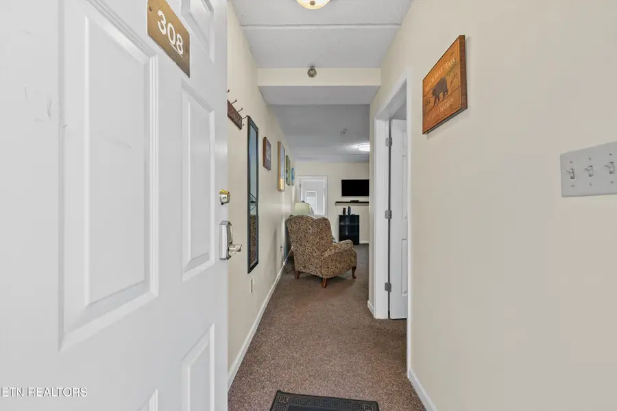 413 Baskins Creek Rd #UNIT 308, Gatlinburg, TN 37738 - #3