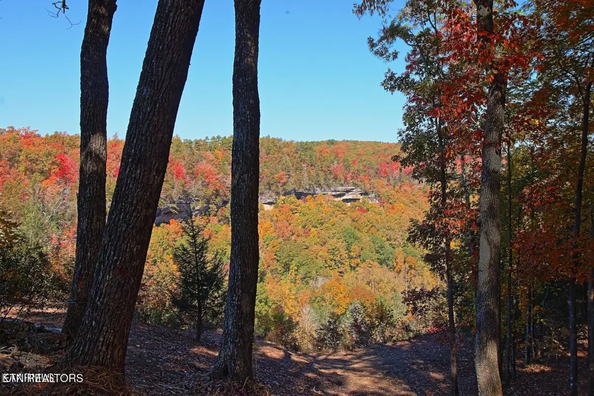 Lot 17 Emerald Drive, Jamestown, TN 38556 - #1