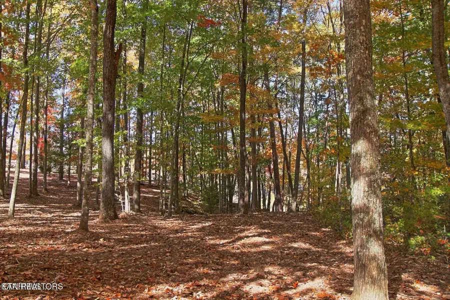Lot 17 Emerald Drive, Jamestown, TN 38556 - #2